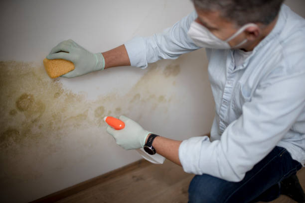 Crawl Space Mold Removal in Lake Oswego, OR